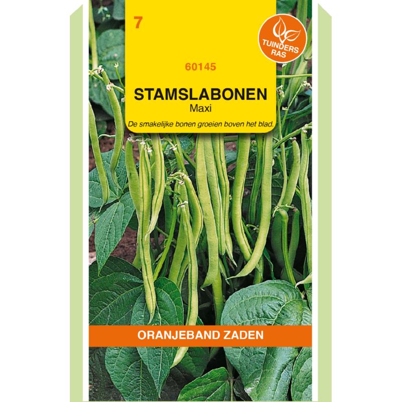 OBZ Stamslabonen Maxi, 100g
