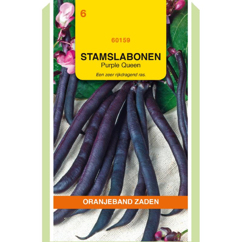 Oranjeband® Bush Beans Purple Queen, 100g