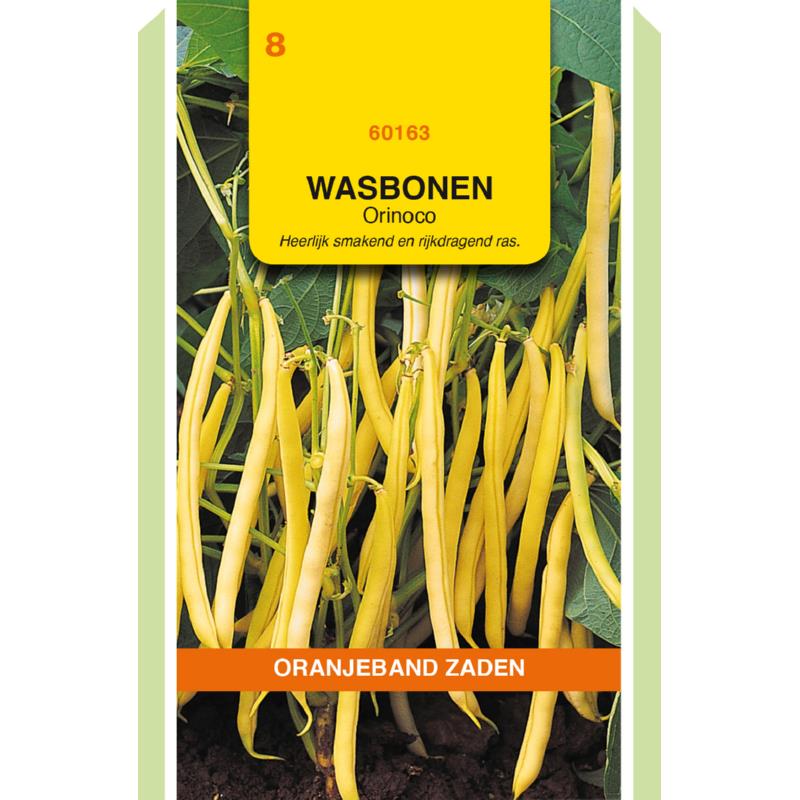 Oranjeband® Dwarf French Beans Orinoco, 100 gram