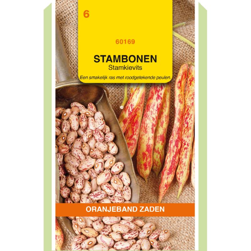 Oranjeband® Bush Beans Brown Dutch, 100g