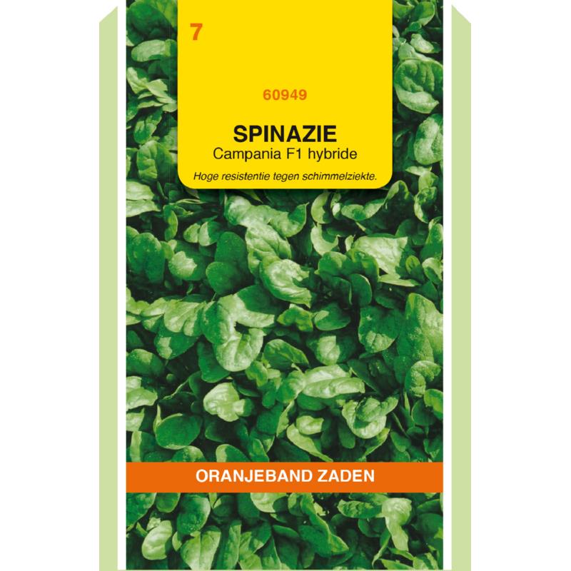 OBZ Spinazie Campania F1, 50g