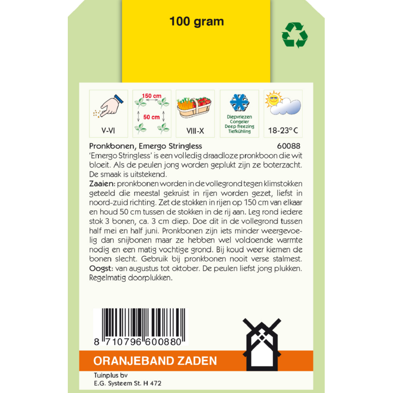 Oranjeband® Runner Beans Mergoles, Stringless, 100g