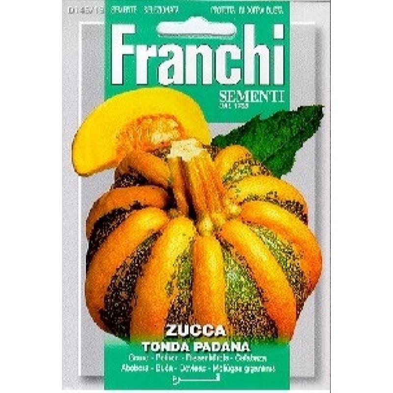 Fr Zucca Tonda Padana 145/13