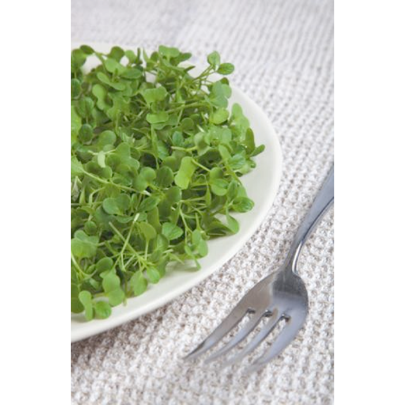Buzzy® Microgreens, Japanese Greens Tatsoi