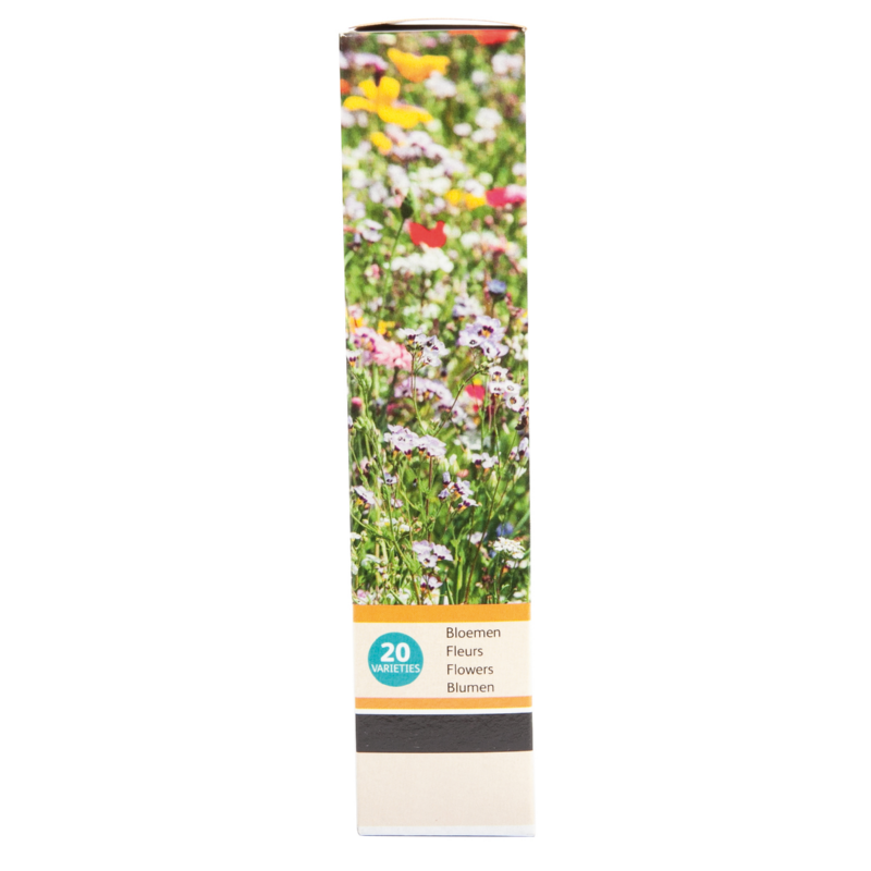 Buzzy® Friendly Flowers  Mix Roadside flower 15m²