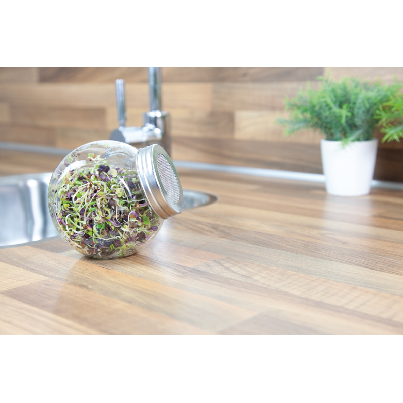 Buzzy® Organic Keimsprossen Keimglas Scharfe Mischung