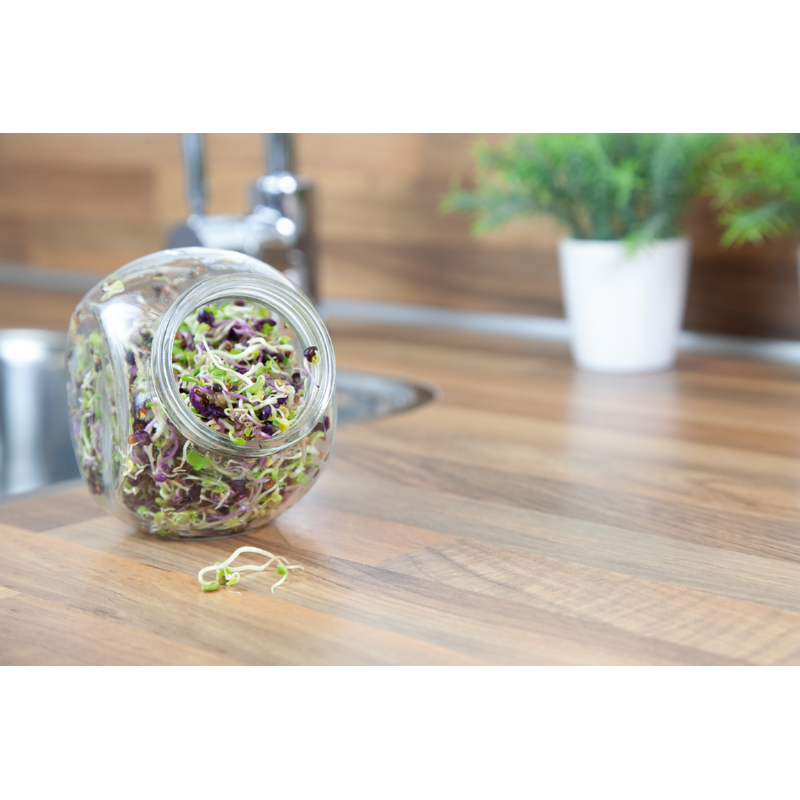 Buzzy® Organic Keimsprossen Keimglas Scharfe Mischung