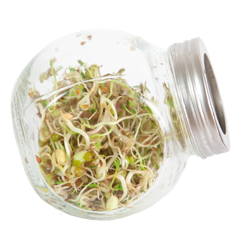 Buzzy® Organic Keimsprossen Keimglas Salatmischung