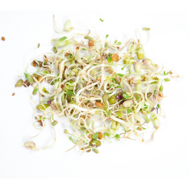 Buzzy® Organic Keimsprossen Keimglas Salatmischung