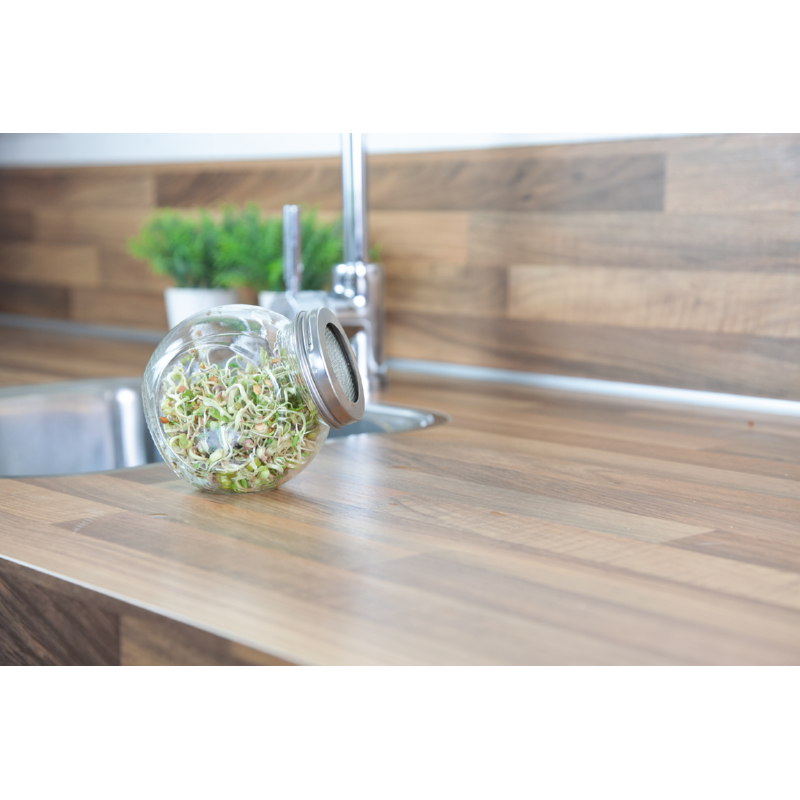 Buzzy® Organic Keimsprossen Keimglas Salatmischung