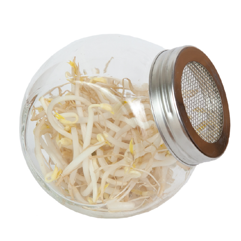 Buzzy® Organic Sprouting pot Tauge  BIO