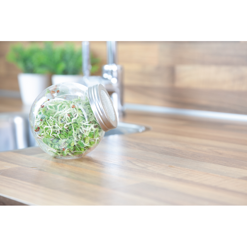 Buzzy® Organic Keimsprossen Keimglas Daikon