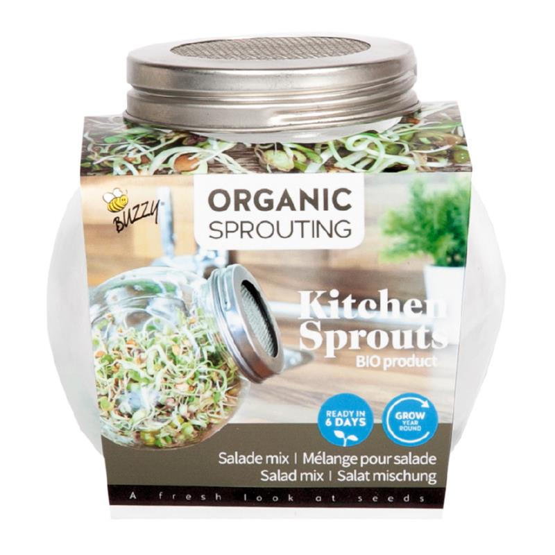 Buzzy® Organic Sprouting glass pot Salad mix