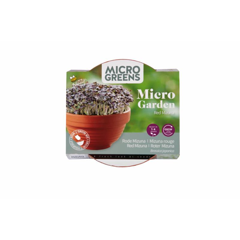 Buzzy® Microgreens terracotta dish Rode mizuna