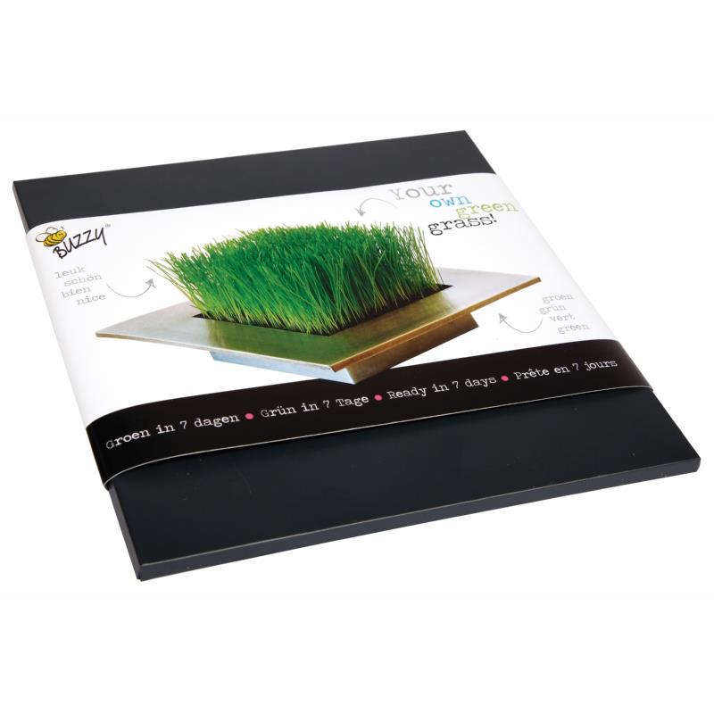 Buzzy® Zinc Tray Trendy Grass (10)