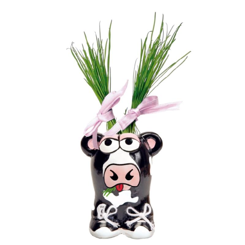 Munakuppi - Display Cow 30st.