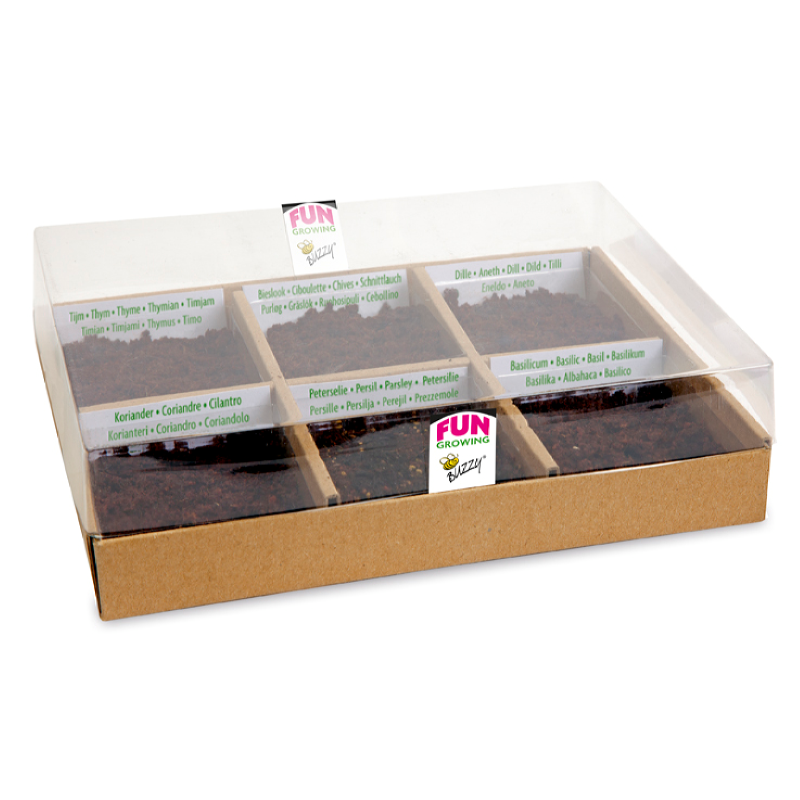Buzzy® Display Starter kit Culinary Kräutersamen