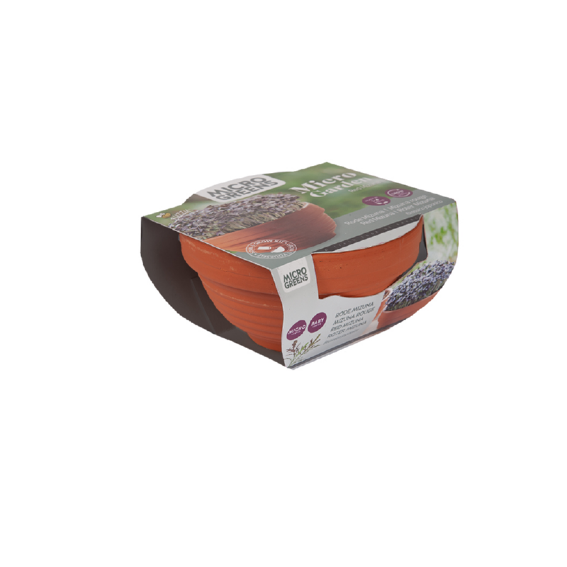 Buzzy® Microgreens terracotta dish Rode mizuna