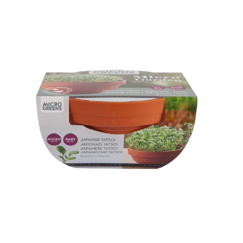 Buzzy® Microgreens Terracotta Dish Tatsoi
