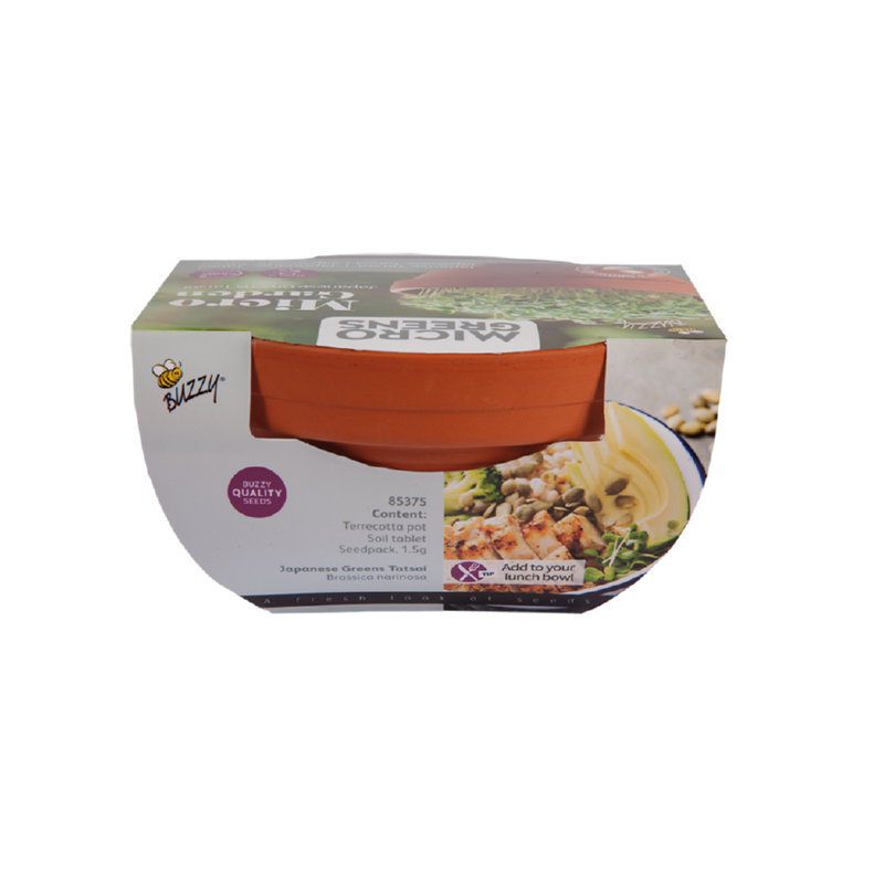 Buzzy® Microgreens Terracotta Dish Tatsoi