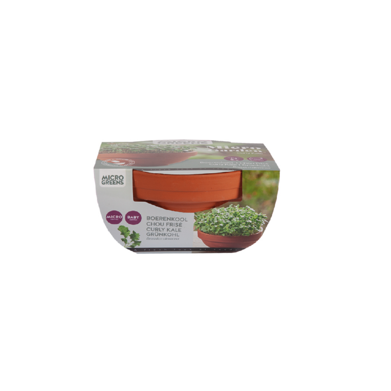 Buzzy® Microgreens Terracotta dish Borecole