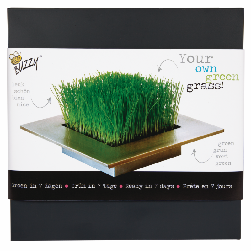 Buzzy® Zinc Tray Trendy Grass (10)