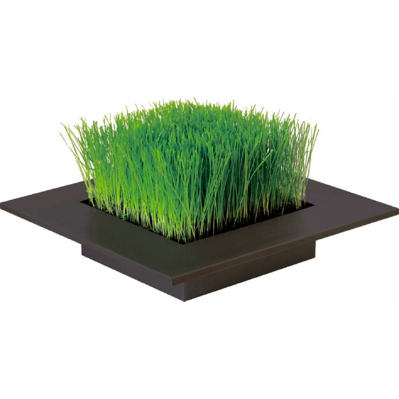 Buzzy® Zinc Tray Trendy Grass (10)