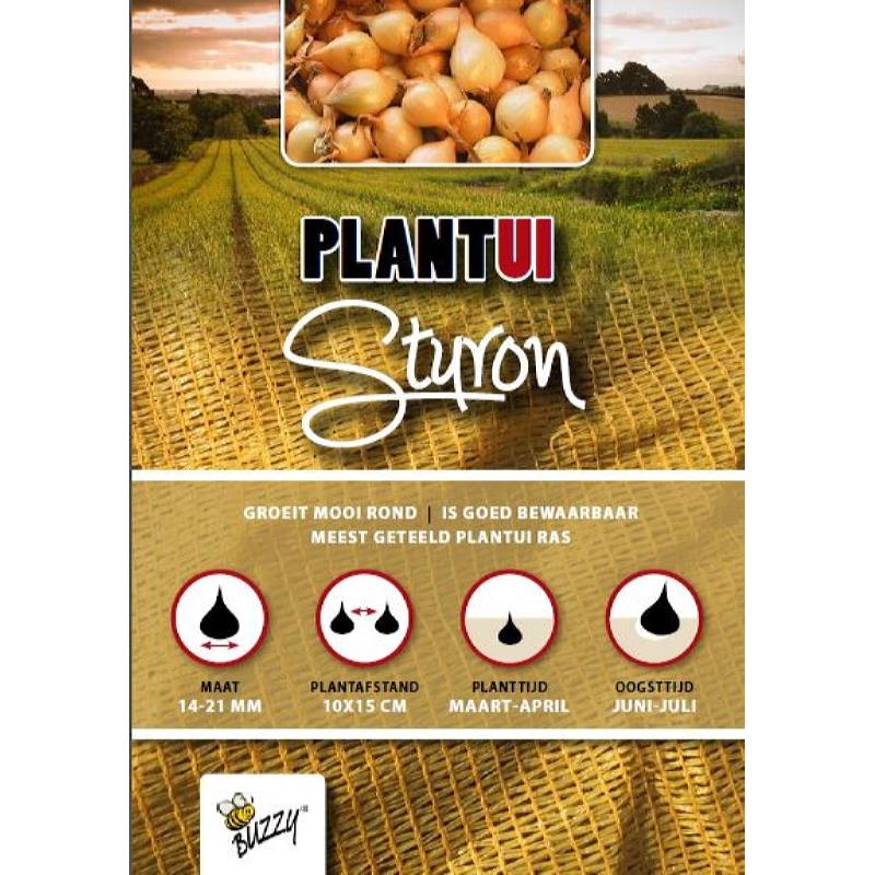 Onion Sturon 250g