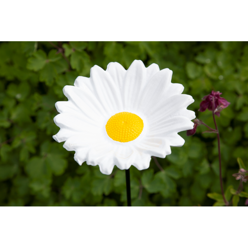 Bûten Gift Feeder Stake Marguerite