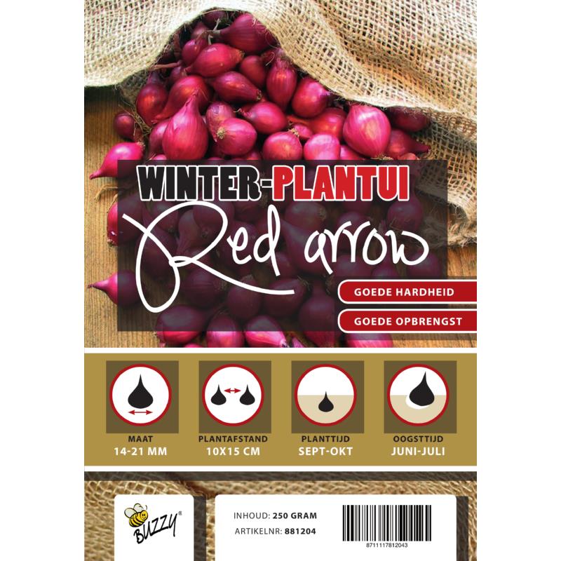 Winter Onion Red Arrow 250g