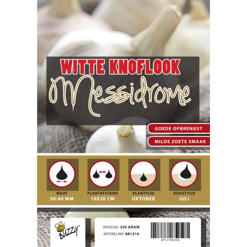 Winter Garlic Messidrome/ Germidour 5 pieces