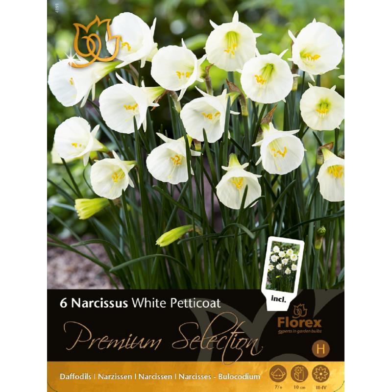 Premium Narcis White Petticoat 7/+ 6st.