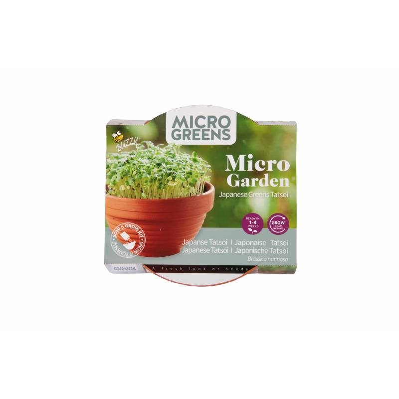 Buzzy® Microgreens Terracotta Dish Tatsoi