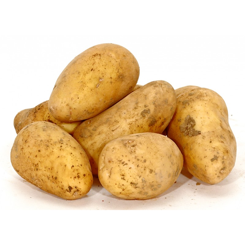 Seed Potatoes Annabelle 1 Kg