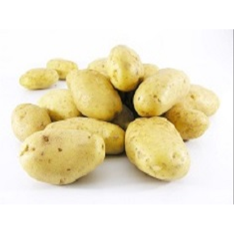 Seed Potatoes Nicola 1 Kg