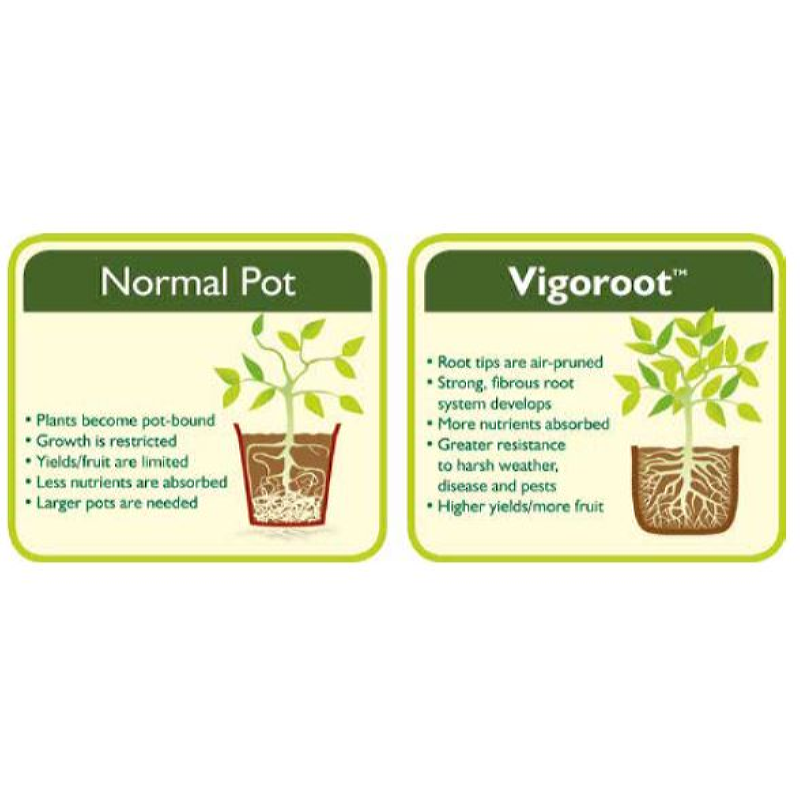 Vigoroot Plantzak 5 liter, 3-pack (10)