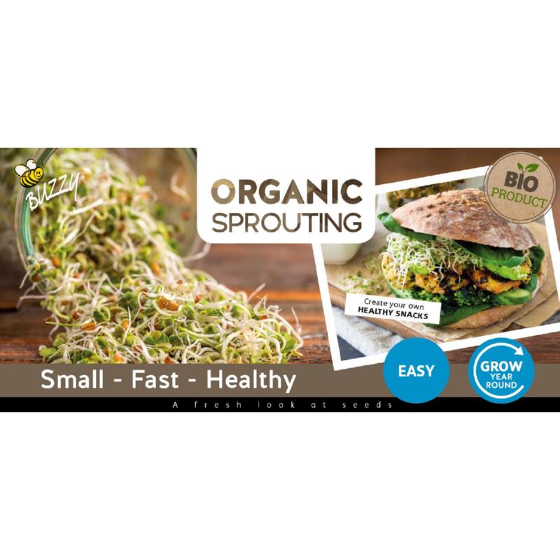 Header Carton Theme Sprouting 60x40