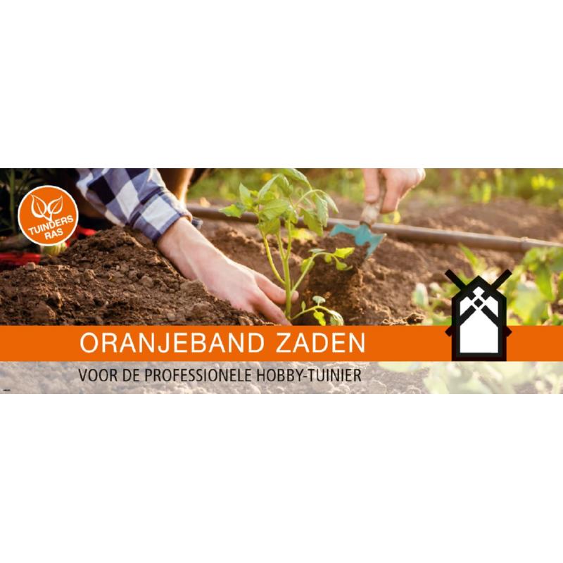 Kopkaart Wanzl OBZ Neutraal 39.7x99.5 cm