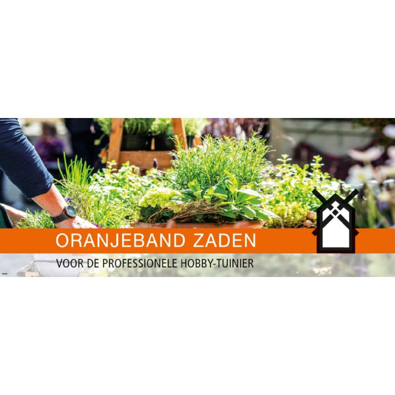 Kopkaart Wanzl OBZ Kruiden 39.7x99.5 cm