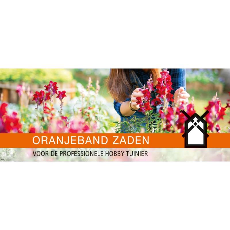 Kopkaart  obz flowers 39.7x99.5