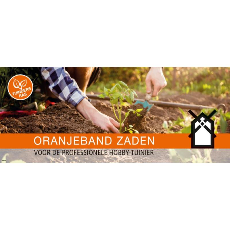 Header OBZ Neutral 28x68cm