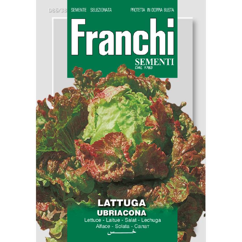 Fr Lettuce Ubriacona 86/38
