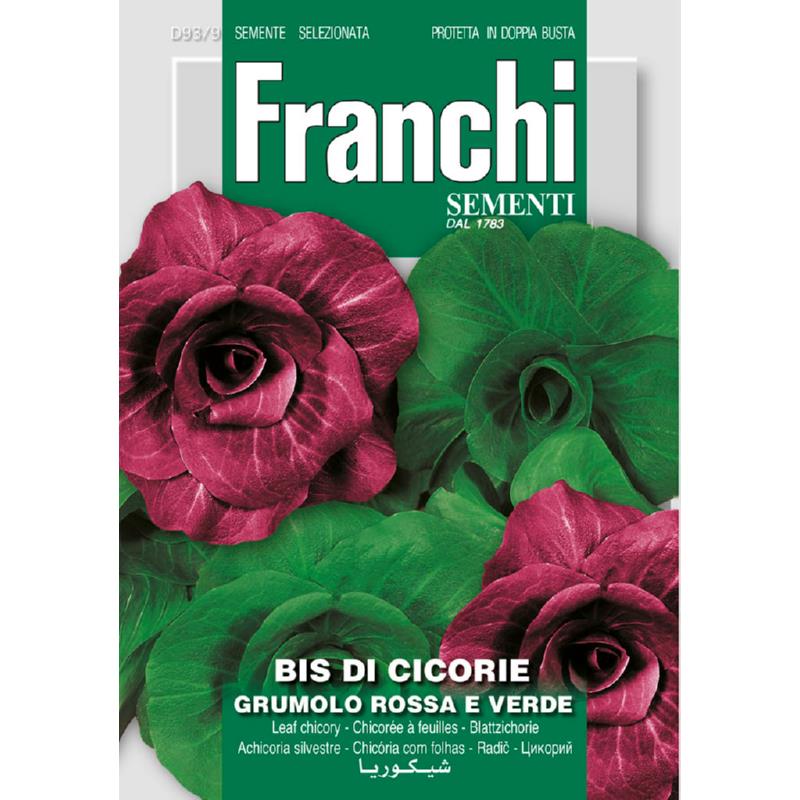 Fr Cichory bis di cicorie  Grumolo rosse e verde 93/9