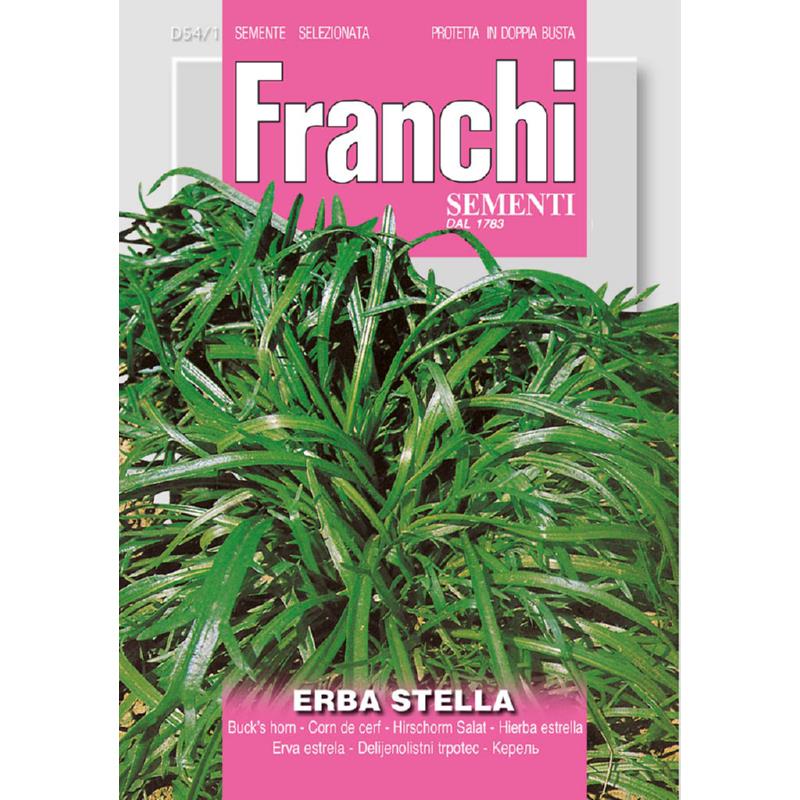 Fr Buck's Horn Erba Stella 54/1