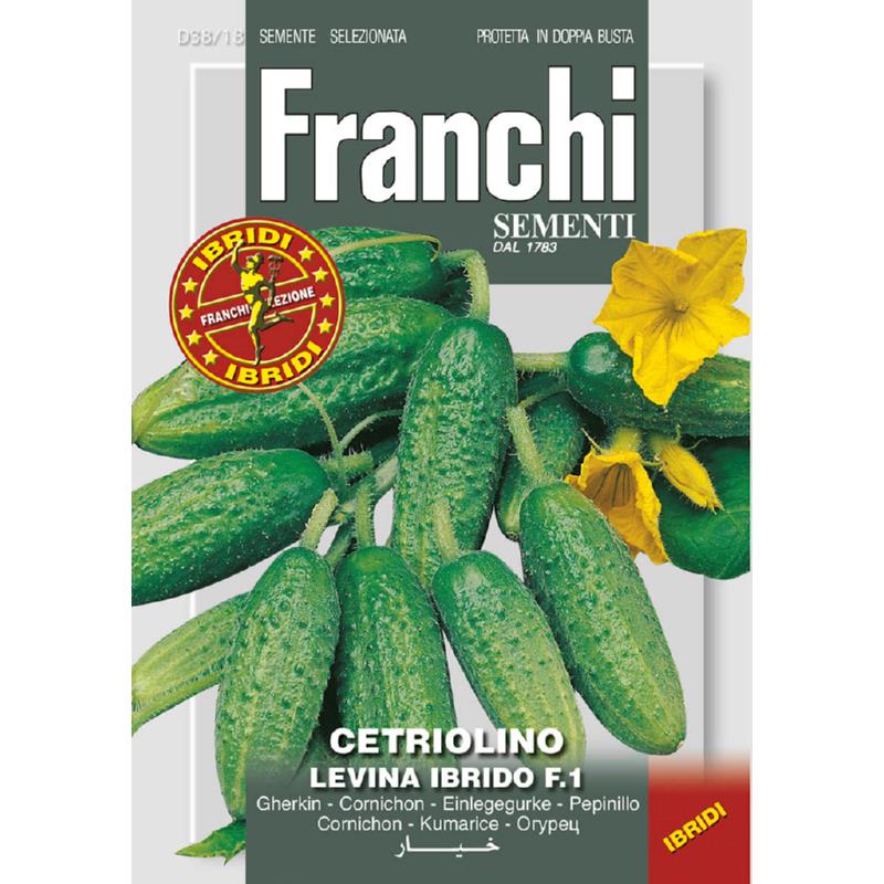 Fr Gherkin Cetriolino Levina F1 38/18