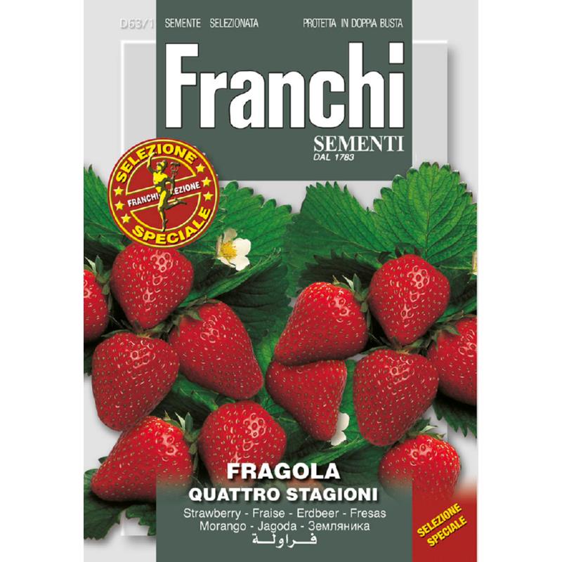 Fr Aardbei Fragola Quattro stagioni 63/1