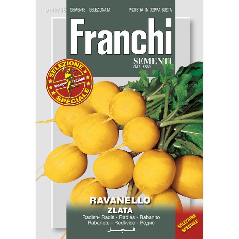 Fr Radish Ravanello Zlata 112/36