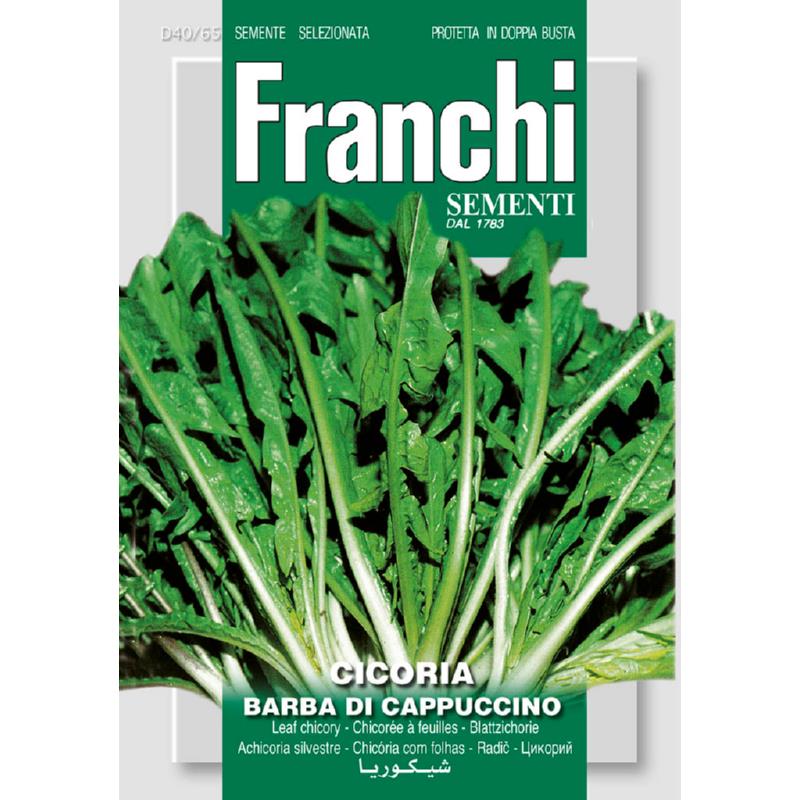 Fr Cichory, Cicoria Barba di cappuccino 40/65