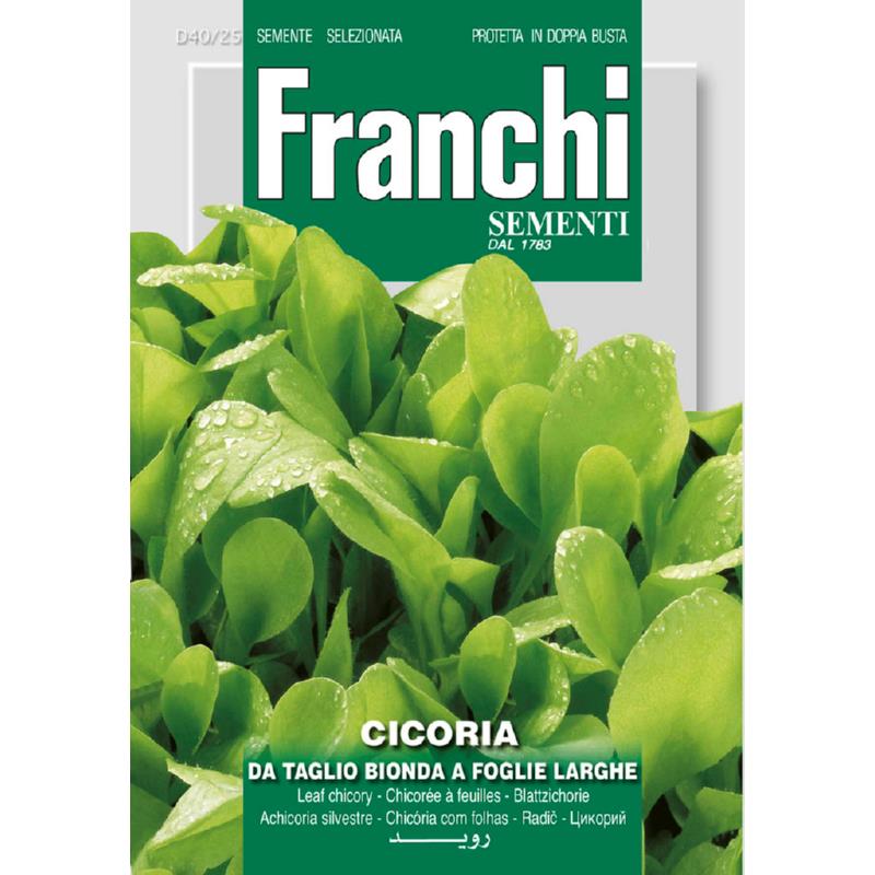 Fr Cichory, Cicoria Bonda foglie larghe 40/25