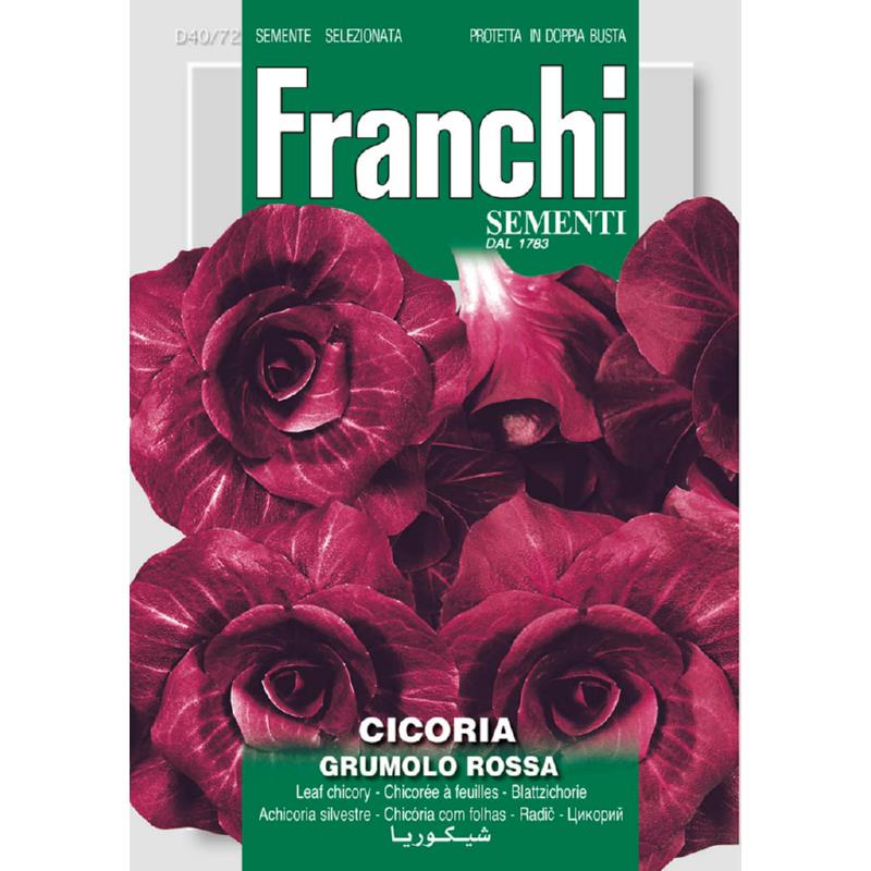 Fr Radicchio, Cicoria Rossa di Verona Tardiva 40/72